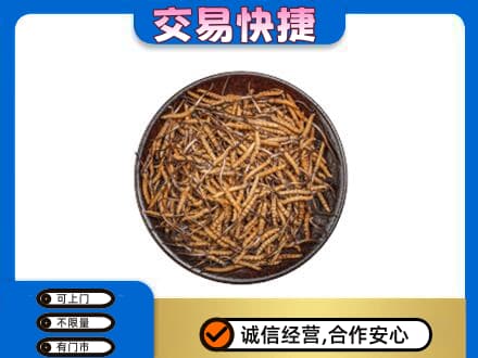 乌海市海勃湾回收散虫草